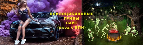 a pvp Алзамай
