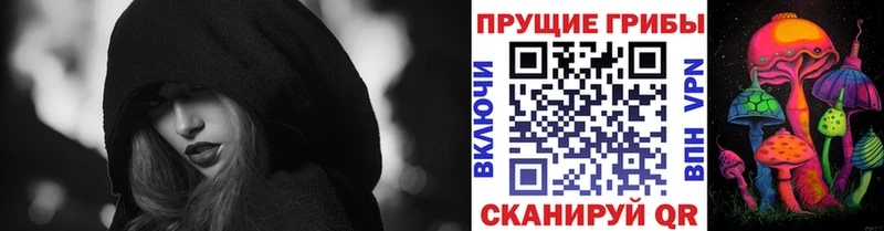 Псилоцибиновые грибы Psilocybe  darknet формула  Новоульяновск 